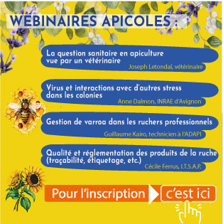 Webinaires apiculture