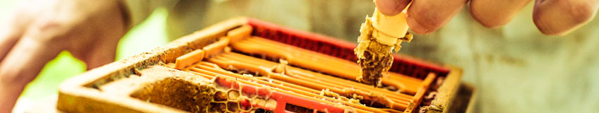 Je réalise un essaim artificiel